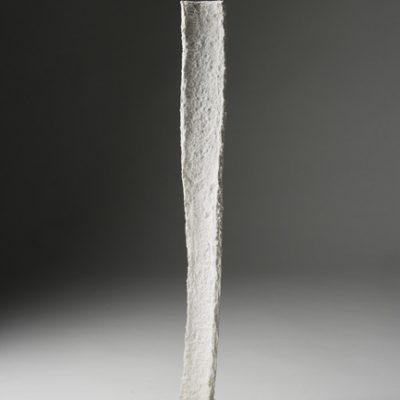 Arbre, 2006. Pasta de paper (cel.lulosa) 240x27x15 cm.