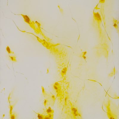 Nebulosa, 2011. Tinta litogràfica sobre cartró. 76x56 cm.