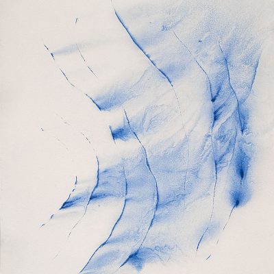 Algues, 2010. Tinta litogràfica sobre cartró. 125x88 cm.